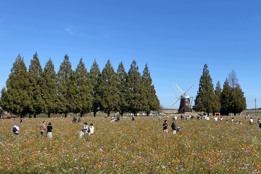 家族連れにオススメの「あけぼの山農業公園」周回コースの写真3