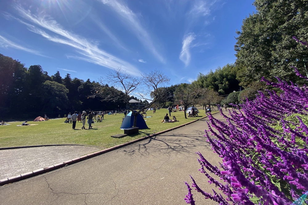 家族連れにオススメの「あけぼの山農業公園」周回コースの写真4