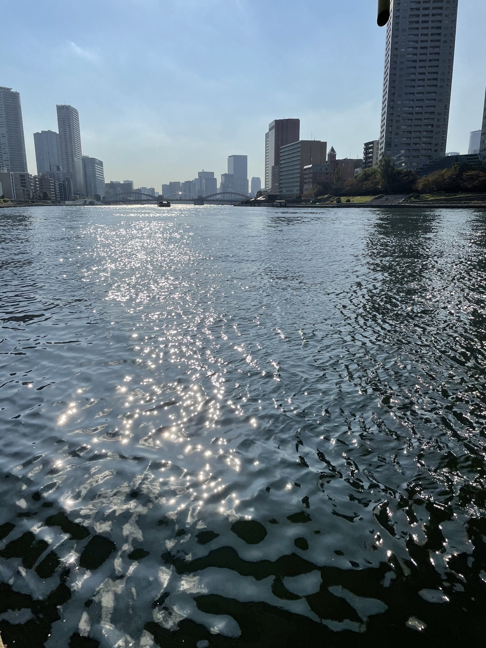 歌川広重と共にRUN 築地の写真5