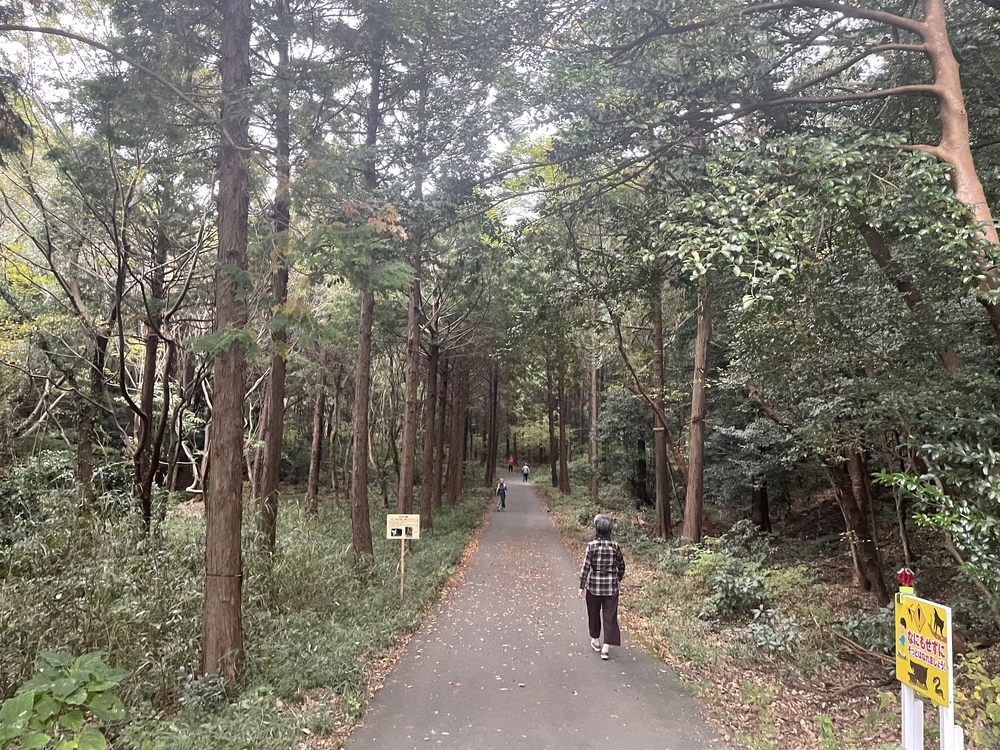 ビオトープ園一周の写真4