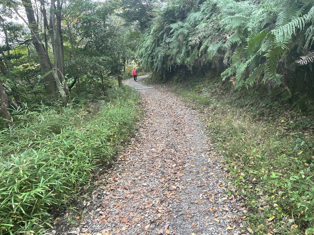 ビオトープ園一周の写真5