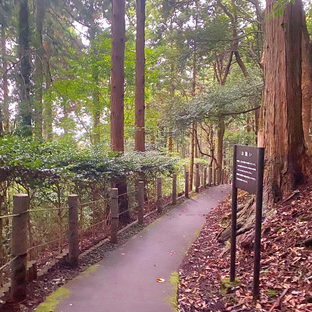自然も満喫！ヒルトン小田原リゾート朝ラン3kmコースの写真4