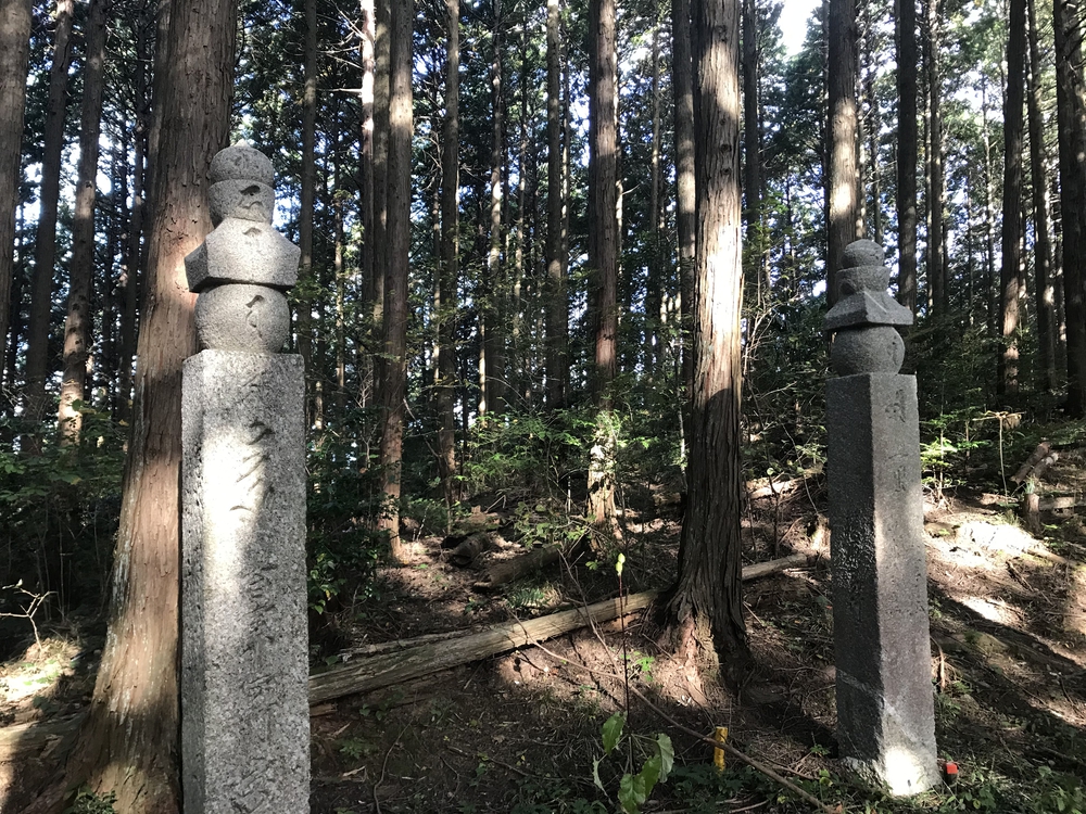 秋の高野山、まるで万華鏡の四季彩に感動！の写真3