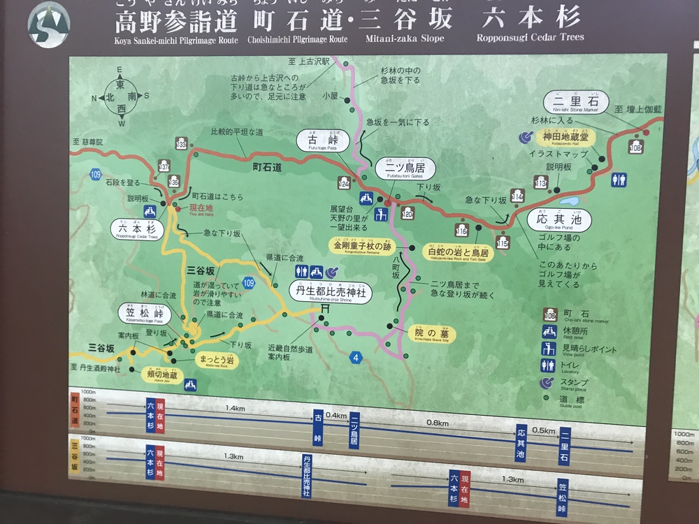 秋の高野山、まるで万華鏡の四季彩に感動！の写真4