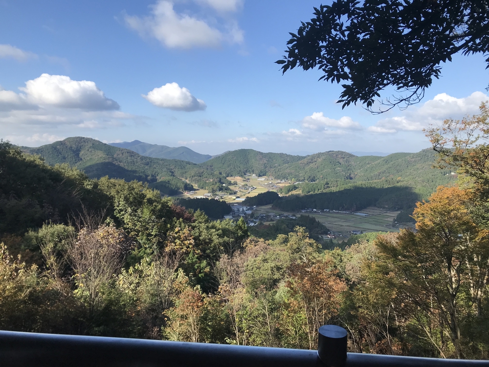 秋の高野山、まるで万華鏡の四季彩に感動！の写真6