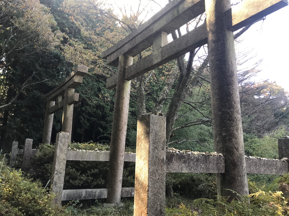 秋の高野山、まるで万華鏡の四季彩に感動！の写真7