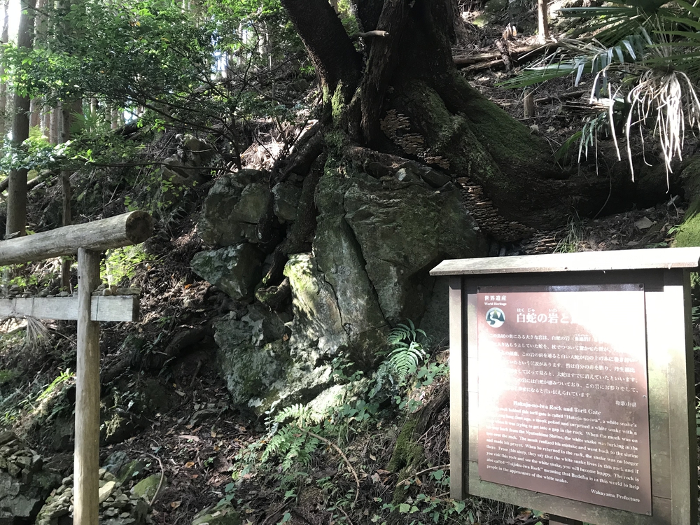 秋の高野山、まるで万華鏡の四季彩に感動！の写真8