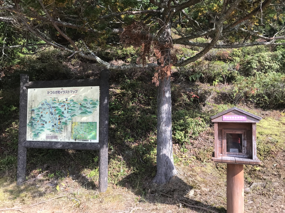 秋の高野山、まるで万華鏡の四季彩に感動！の写真9
