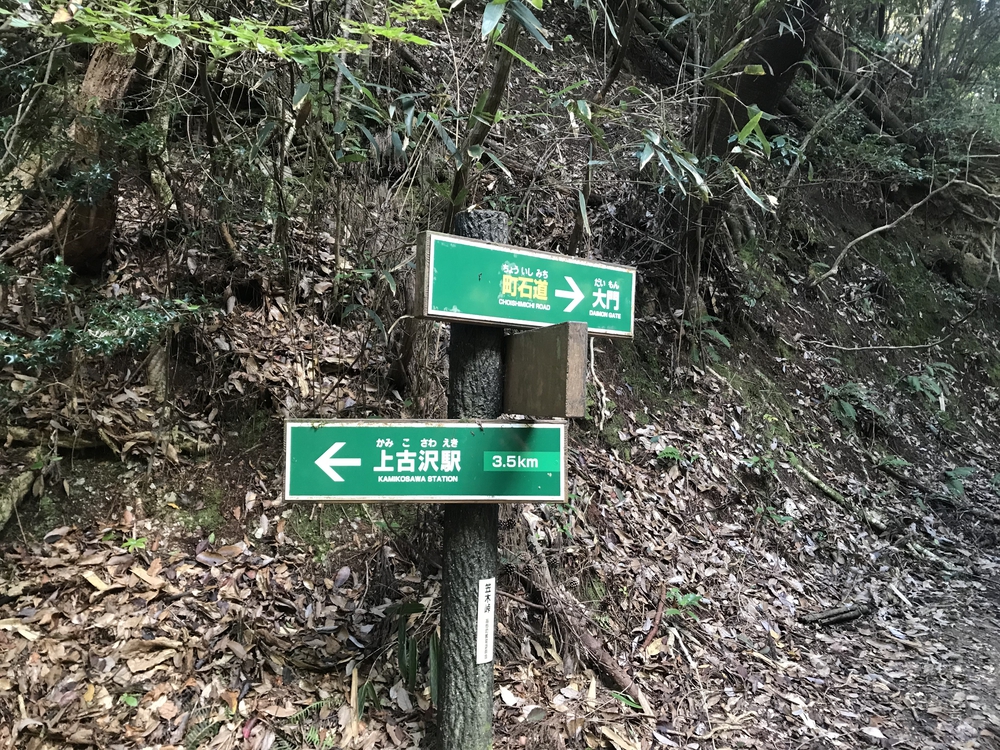 秋の高野山、まるで万華鏡の四季彩に感動！の写真10