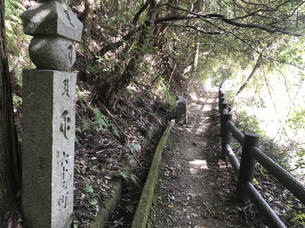 秋の高野山、まるで万華鏡の四季彩に感動！の写真11