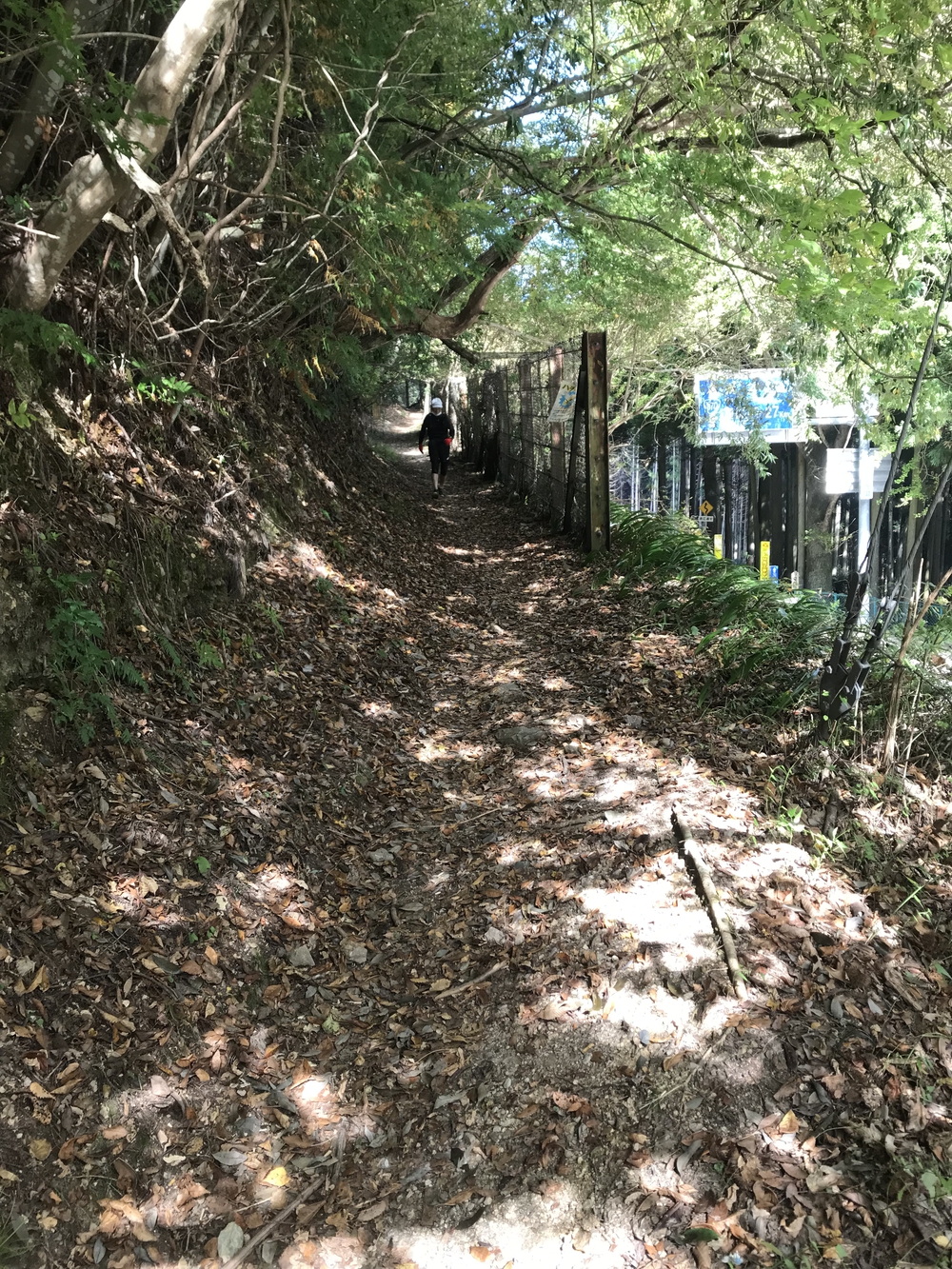 秋の高野山、まるで万華鏡の四季彩に感動！の写真12