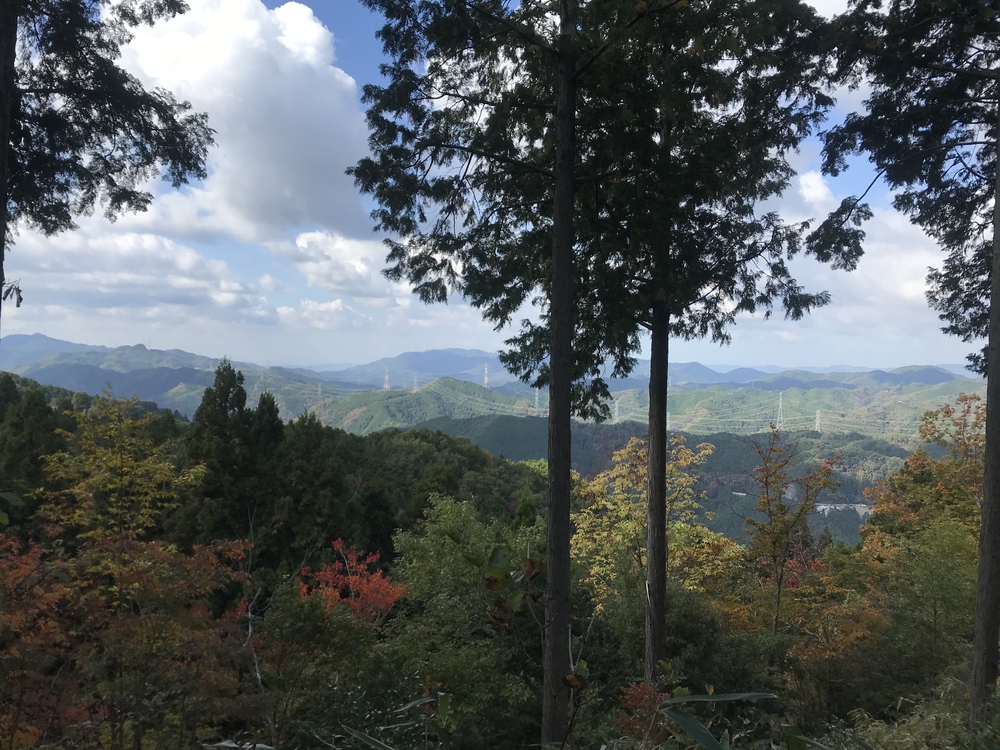 秋の高野山、まるで万華鏡の四季彩に感動！の写真14