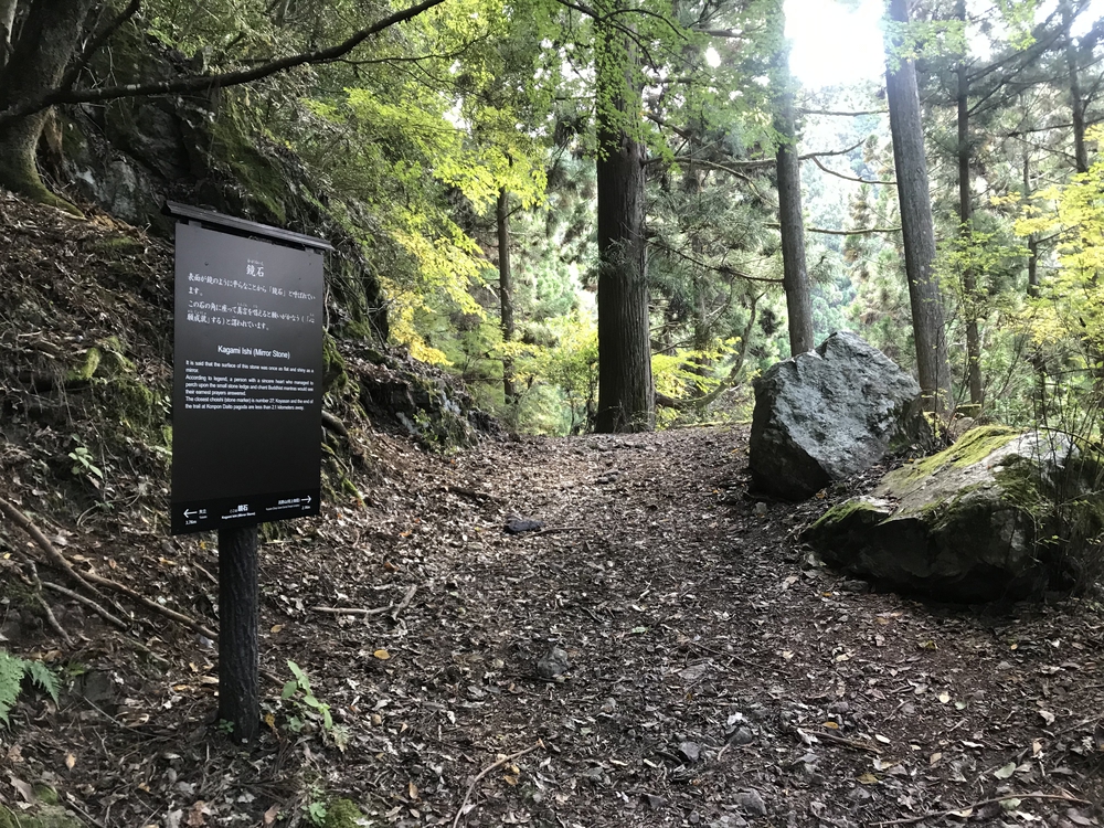 秋の高野山、まるで万華鏡の四季彩に感動！の写真15