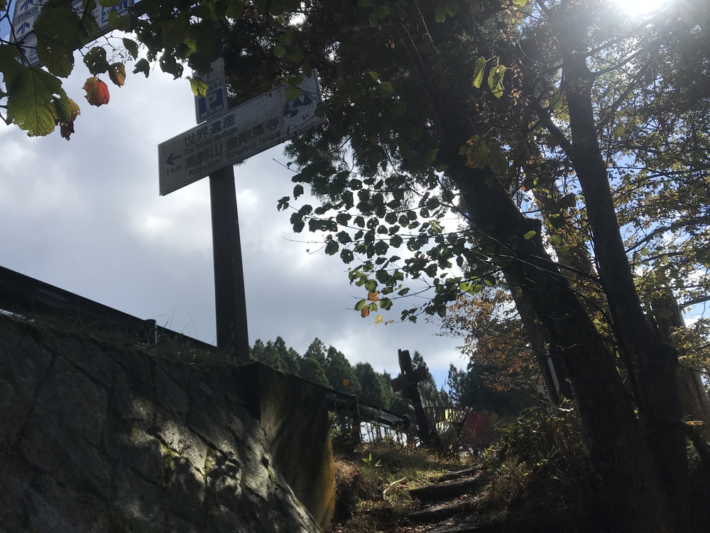 秋の高野山、まるで万華鏡の四季彩に感動！の写真17
