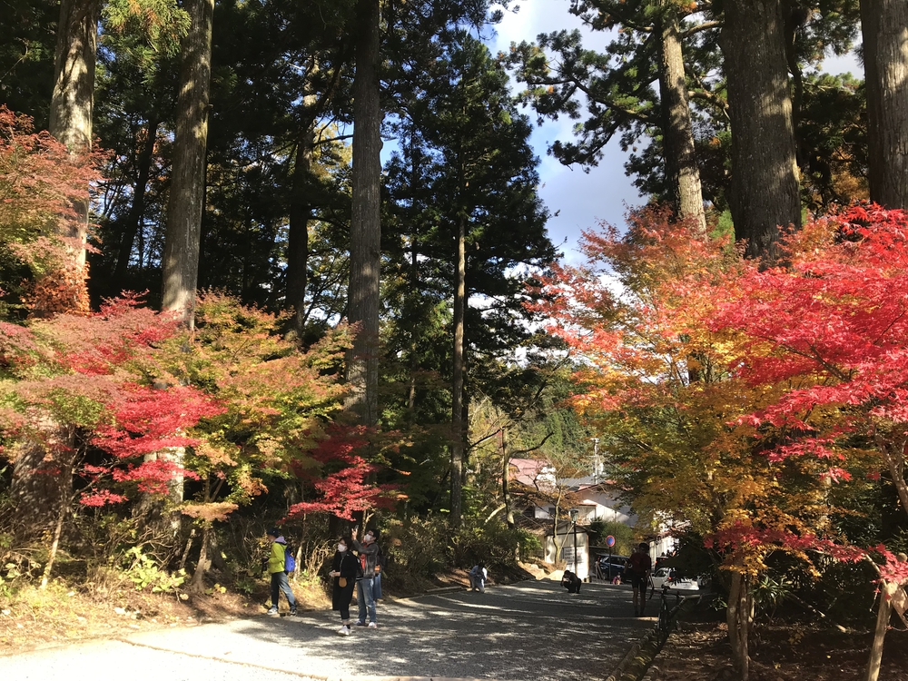 秋の高野山、まるで万華鏡の四季彩に感動！の写真19