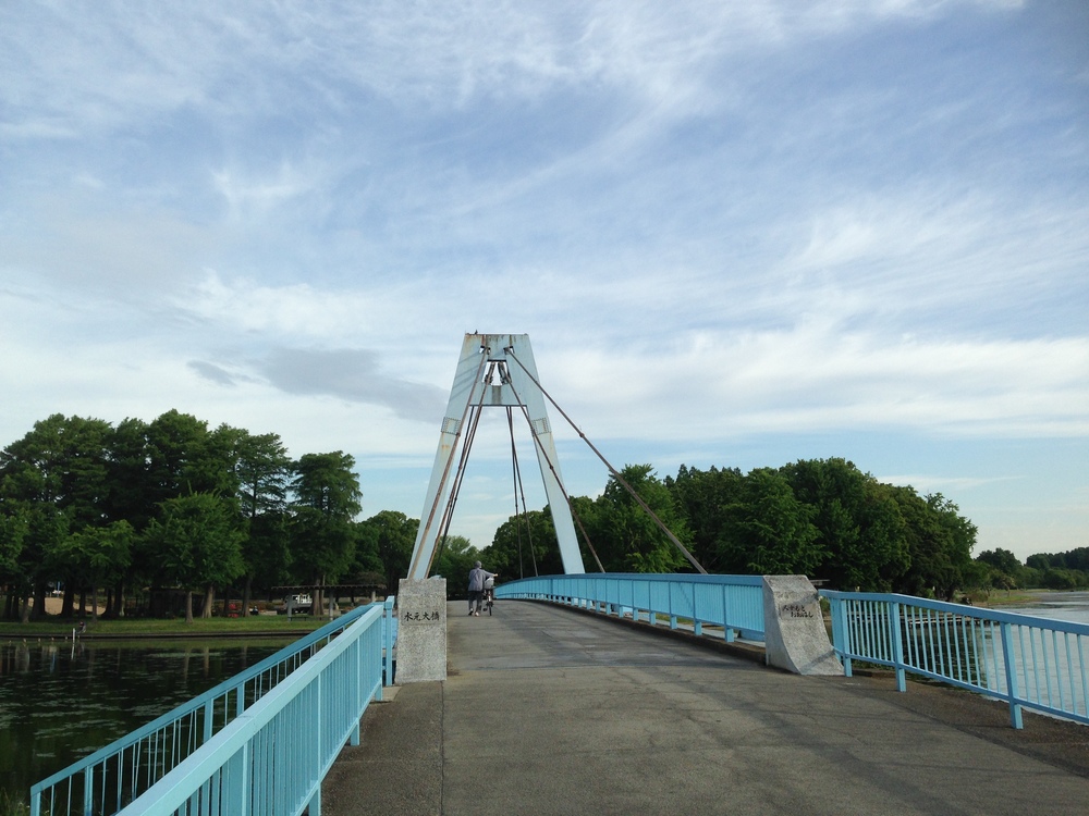 水元公園1周コースの写真5