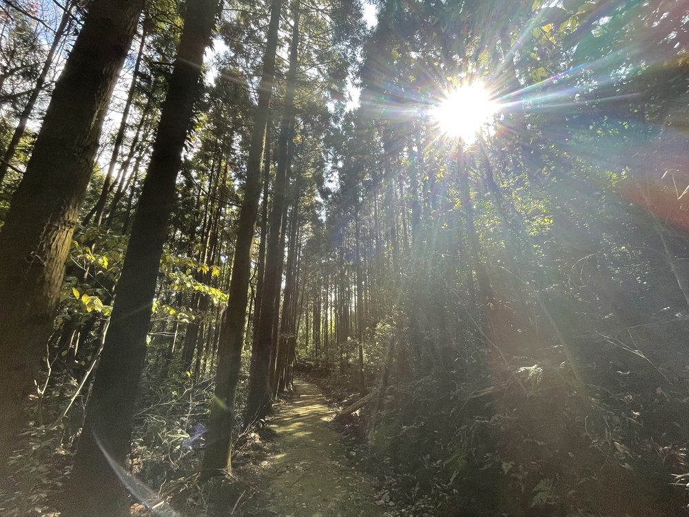 往復68キロ！高松発〜こんぴらさんマラソンの写真6