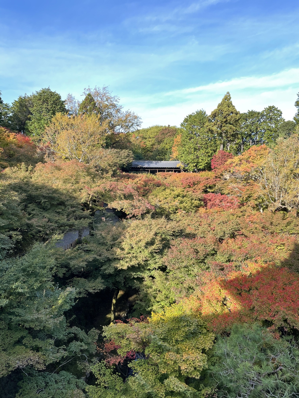 歌川広重と共にRUN 東福寺の写真4