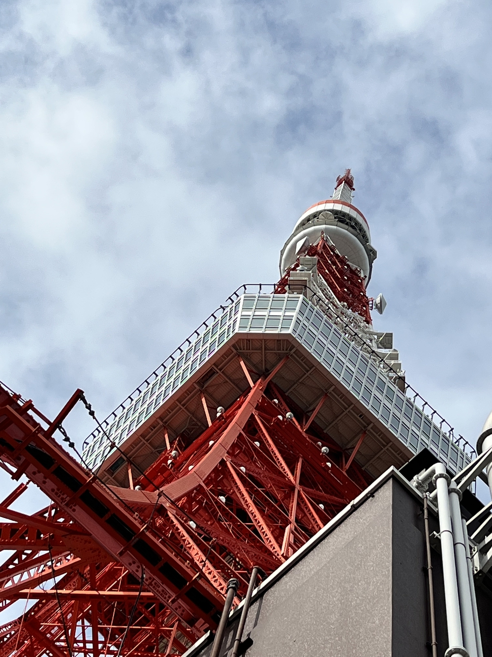 ぐるっとタワー巡り　秋の30Kの写真7