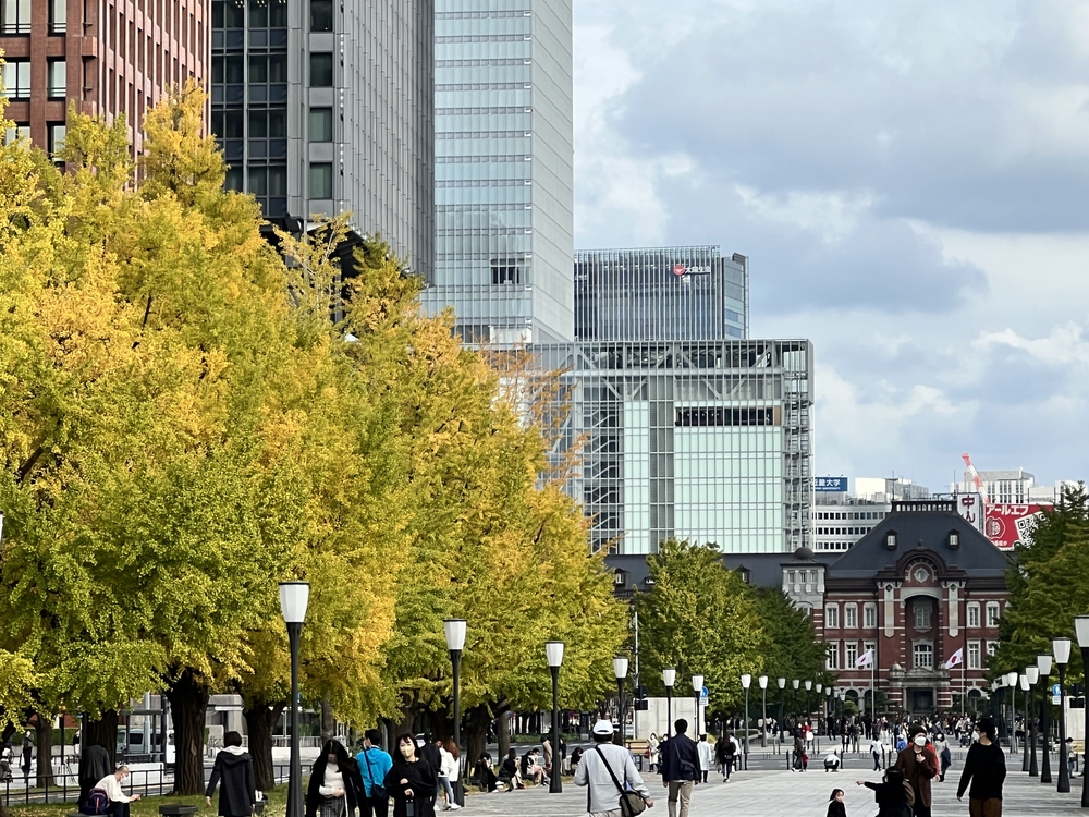 ぐるっとタワー巡り　秋の30Kの写真9