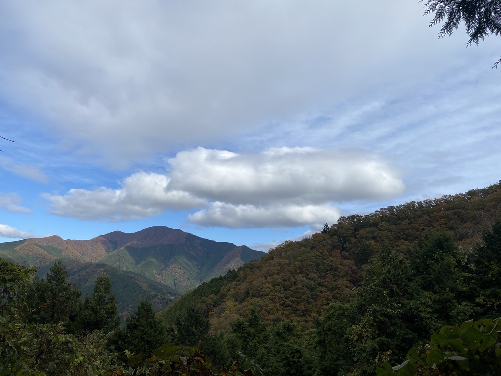 紅葉の秋川渓谷トレイルの写真4