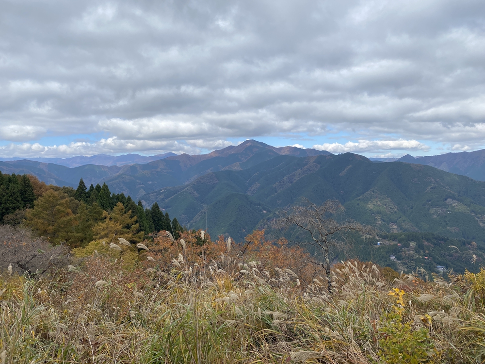 紅葉の秋川渓谷トレイルの写真5