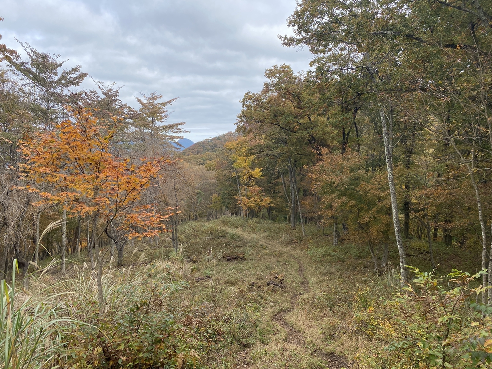 紅葉の秋川渓谷トレイルの写真6