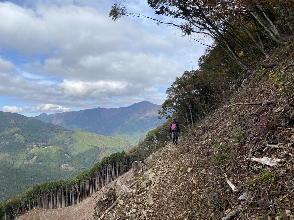 紅葉の秋川渓谷トレイルの写真7