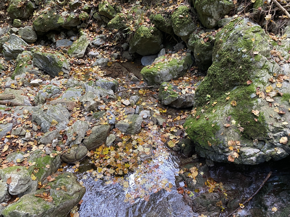 紅葉の秋川渓谷トレイルの写真8