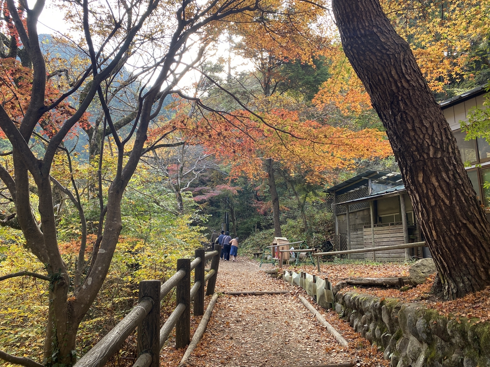 紅葉の秋川渓谷トレイルの写真10