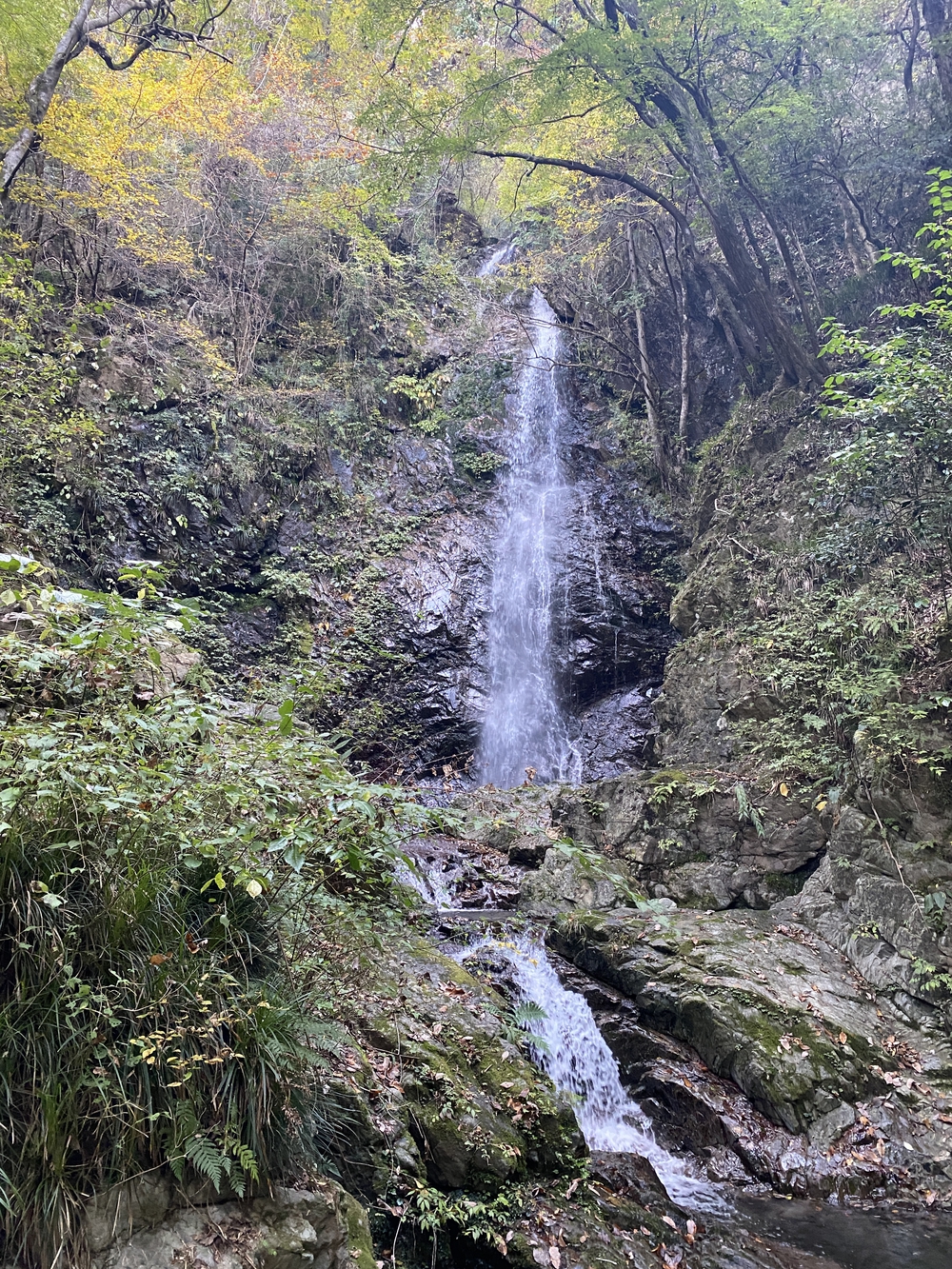 紅葉の秋川渓谷トレイルの写真11