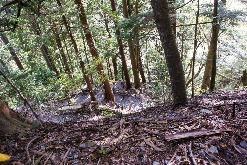 七面山詣り（敬慎院・希望峰）の写真3