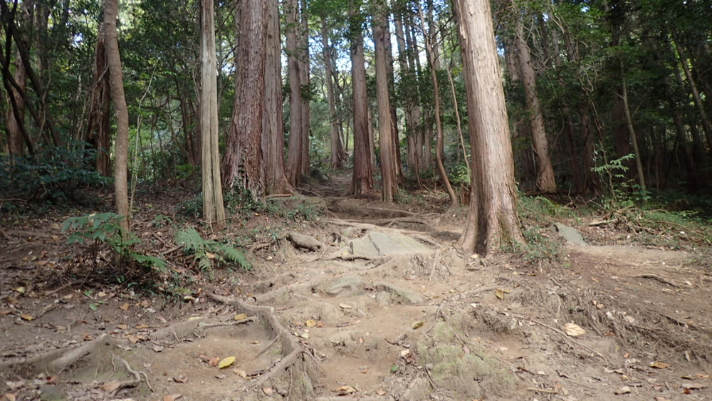 宝篋山頂をスタートゴールにした周回コースの写真4
