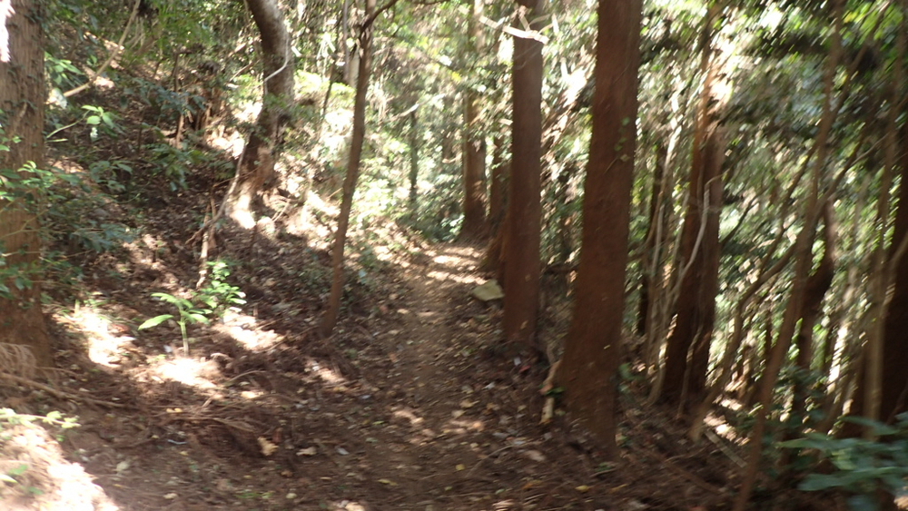 宝篋山頂をスタートゴールにした周回コースの写真6