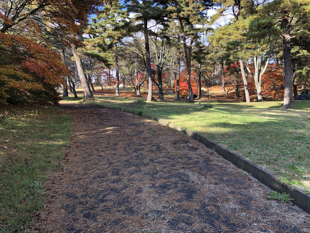 六戸町舘野公園の秋を嗜むRUNの写真3