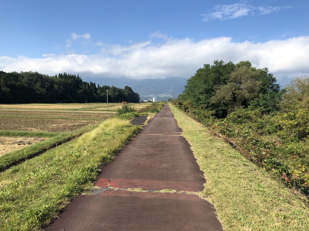 三峰川ランの写真7