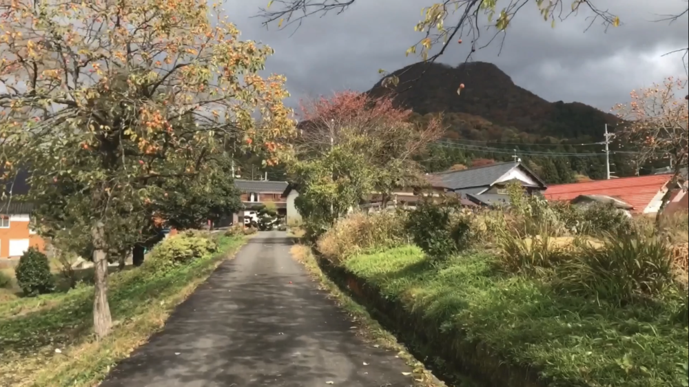 鳥取県 大山(だいせん)  紅葉見るならここ！鍵掛峠の写真7