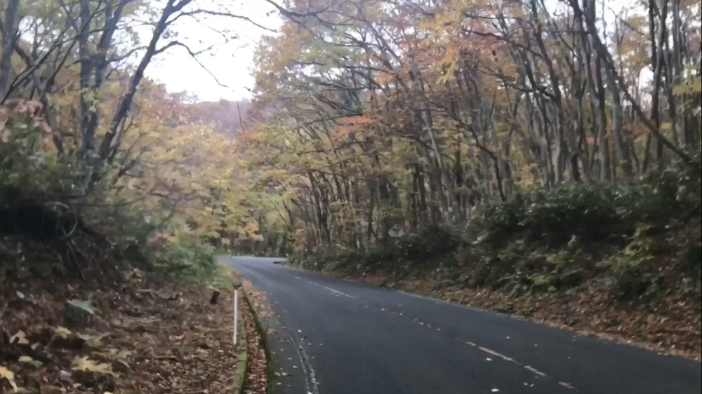 鳥取県 大山(だいせん)  紅葉見るならここ！鍵掛峠の写真10