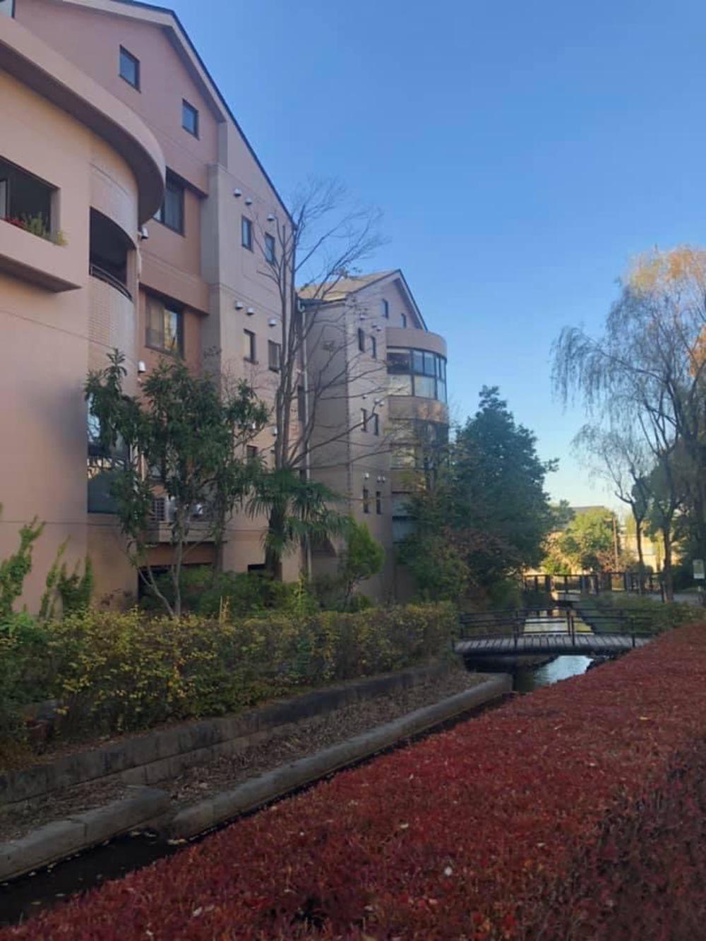 鶴見川沿いのパン屋さん〜長池公園〜せせらぎ緑道〜京王堀之内の写真10