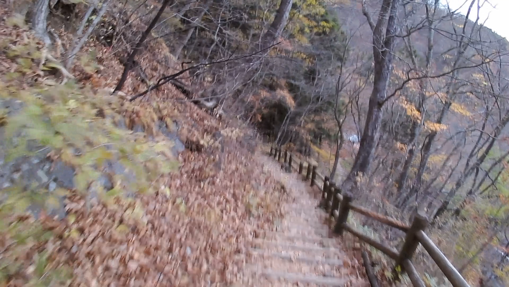 栃木県日光市内の自然美の景勝地を巡る１０キロのランニングの写真3