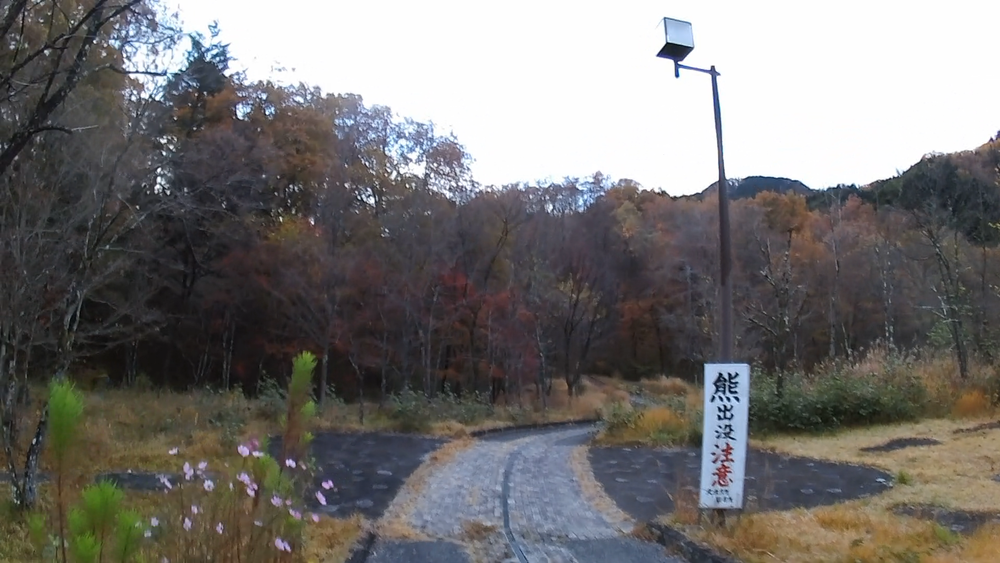 栃木県日光市内の自然美の景勝地を巡る１０キロのランニングの写真5