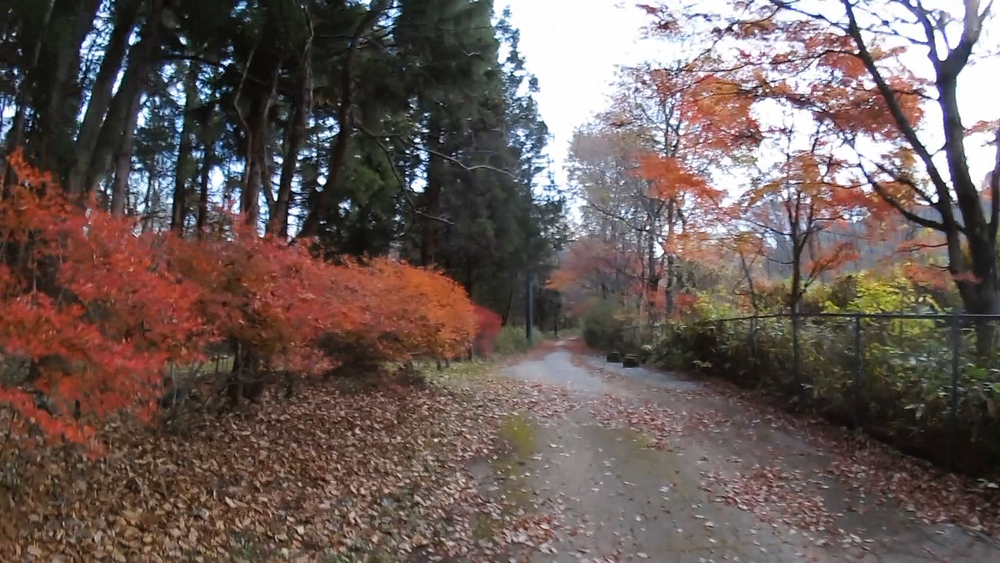 栃木県日光市内の自然美の景勝地を巡る１０キロのランニングの写真6