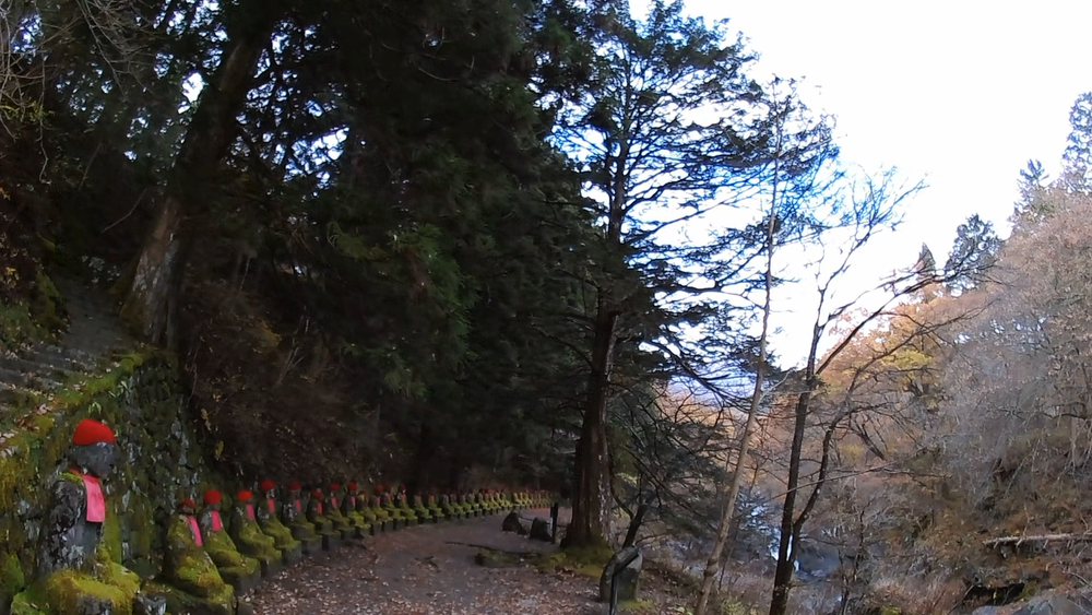 栃木県日光市内の自然美の景勝地を巡る１０キロのランニングの写真8