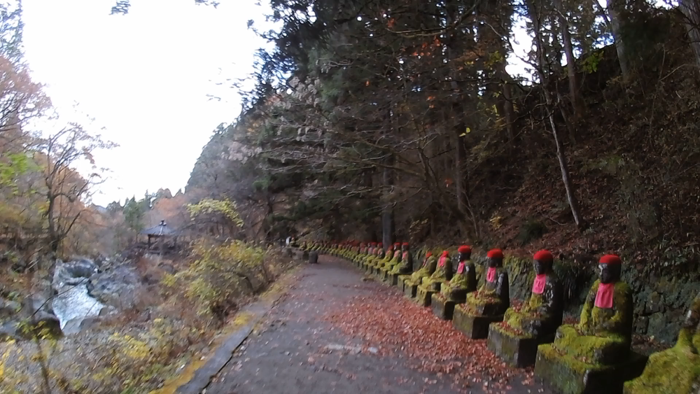 栃木県日光市内の自然美の景勝地を巡る１０キロのランニングの写真9