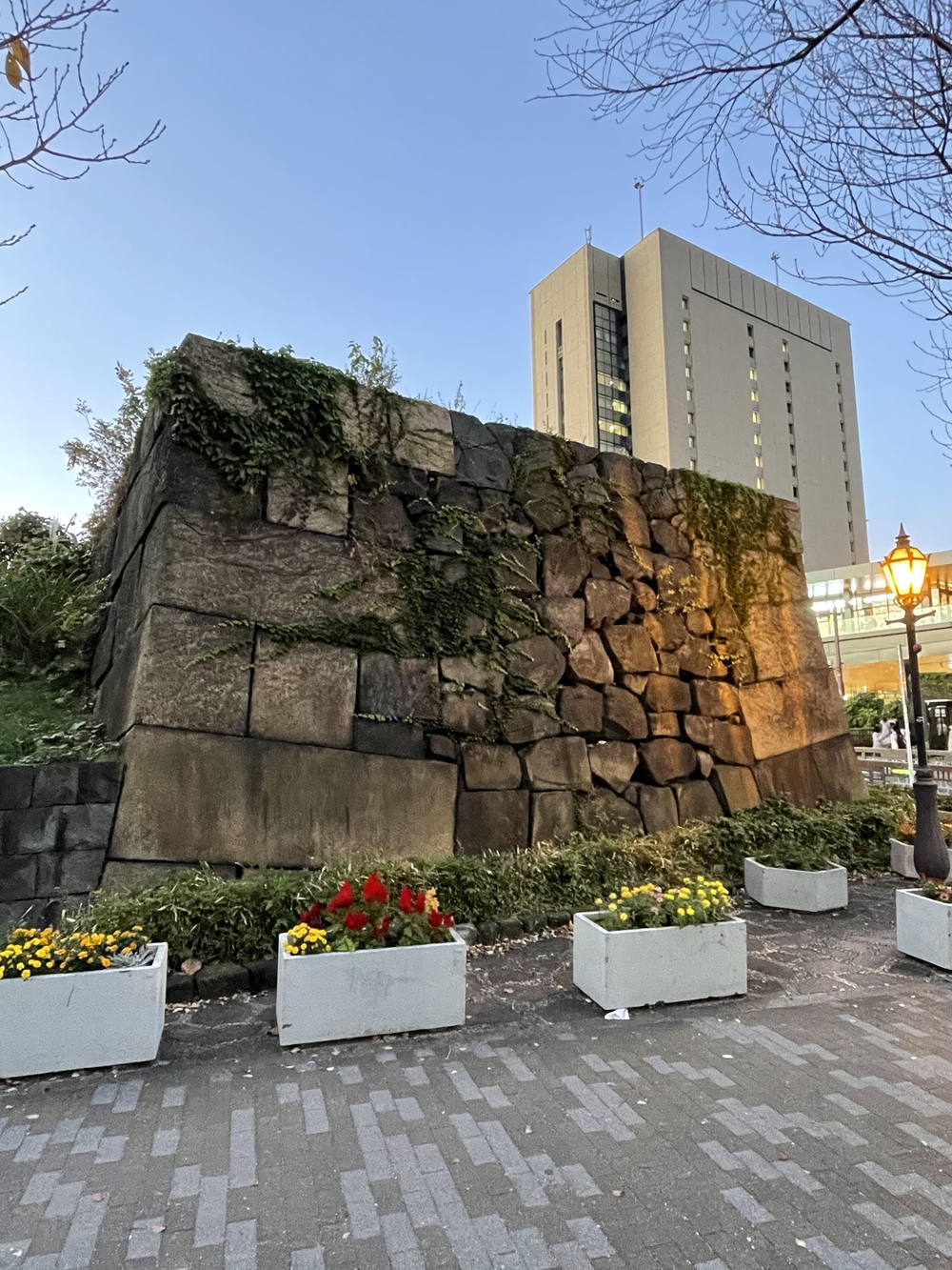 歌川広重と共にRUN 神楽坂〜揚場町の写真4