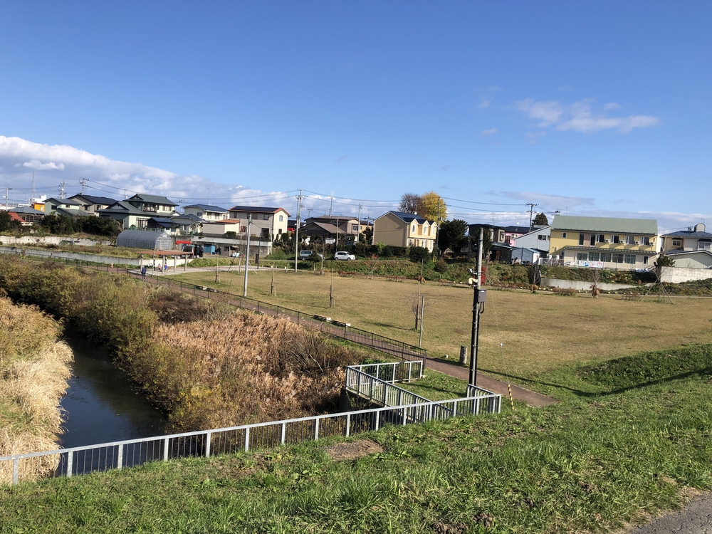 八戸駅の小道を辿るとそこにはススキストレートロードがあったの写真4