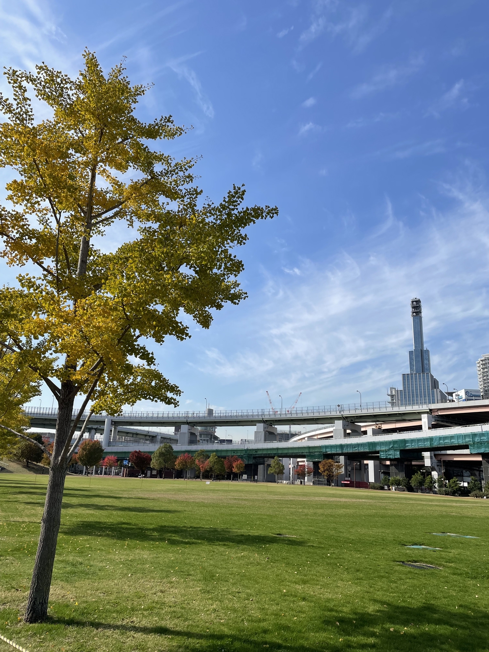 俺なりの神戸マラソンの写真4