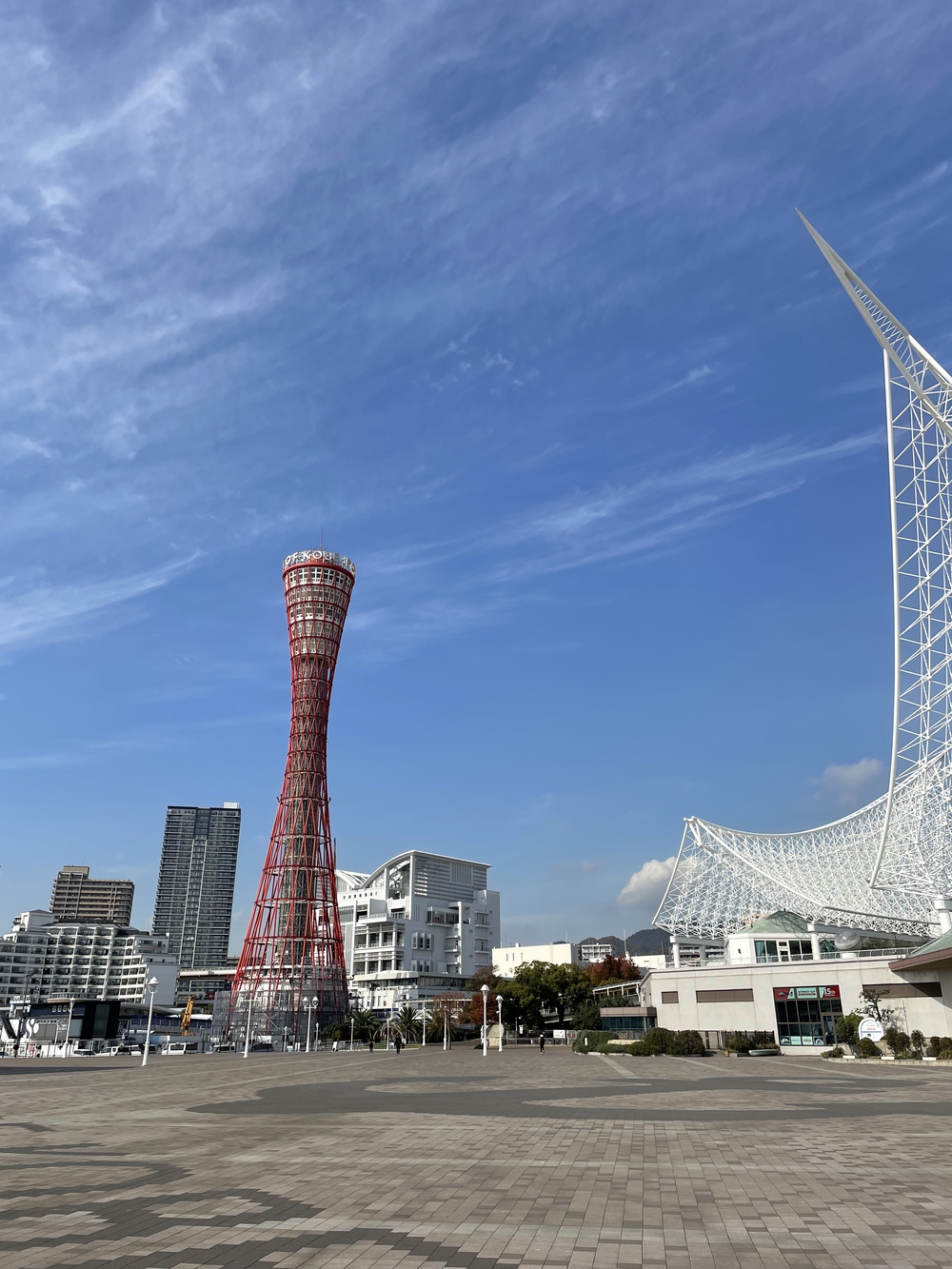 俺なりの神戸マラソンの写真6