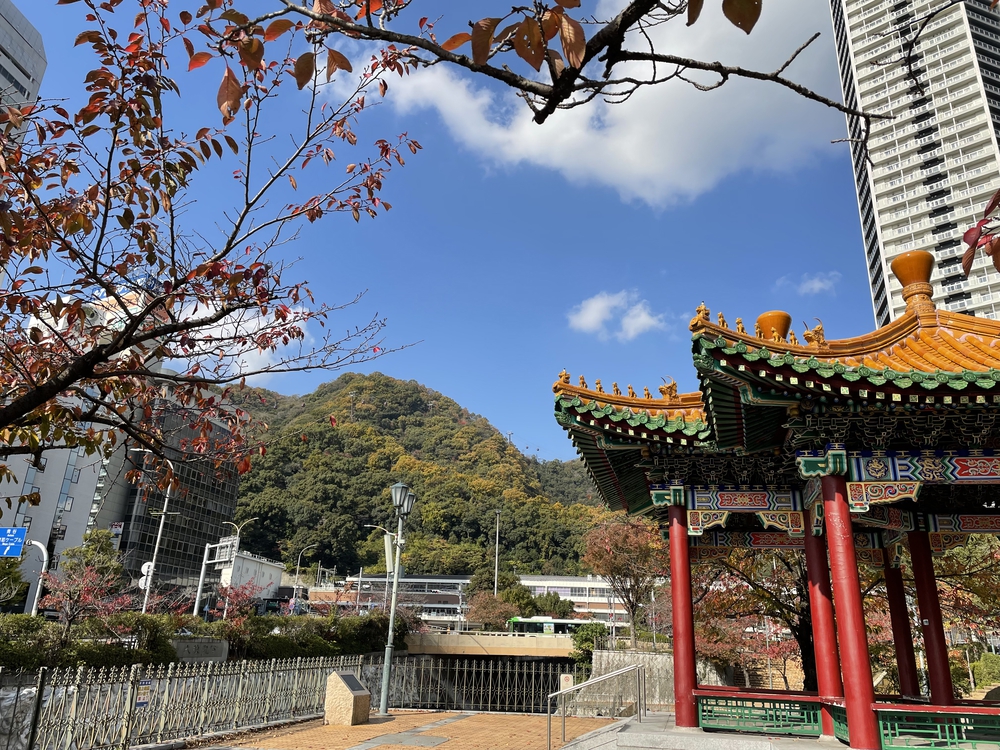 俺なりの神戸マラソンの写真7