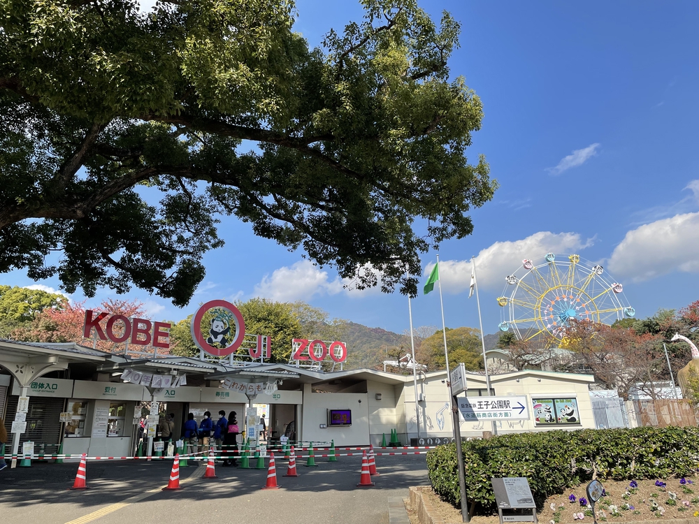 俺なりの神戸マラソンの写真8